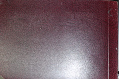 DSCN9501