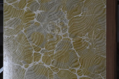 DSCN0423